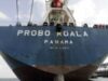 nava Probo Koalanava Probo Koala