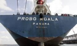 nava Probo Koala