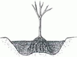 pasul2.jpg