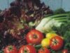 produse biologice