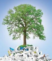proiect ecologic