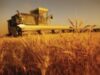 agricultura1.jpg