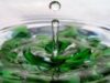 amprenta CO2