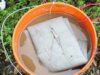 baterie cu bacterii din noroi baterie cu bacterii din noroi