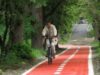 biciclete inchiriate