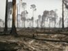 Earth Alert 1