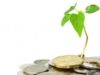Cursuri de ecologie si dezvoltare durabila pentru firme