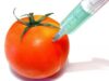 organisme modificate genetic