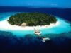 insulele Maldive