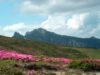 ONG Natura2000 ONG Natura2000