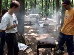 picnic