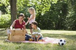 picnic