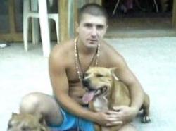 pitbull Iustin Cacovei