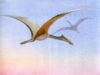 reptile zburatoare reptile zburatoare