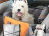 travel-pod-in-car.jpg travel-pod-in-car.jpg