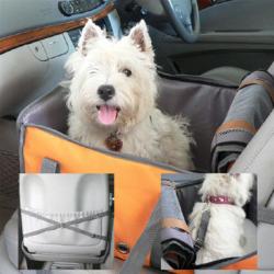 travel-pod-in-car.jpg