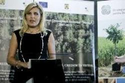 Udrea Comisia Petrom