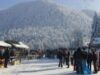 brasov padure