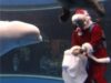 cadou pentru balena