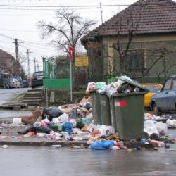 colectare