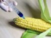 David vs Monsanto