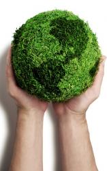 eco_res_1_maini_12_5.jpg