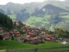 elvetia-munte