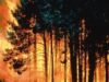 Incendii padure Canicula din Rusia, cel mai mare cataclism din 2010 din emisfera nordica