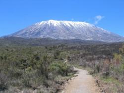 Kilimanjaro