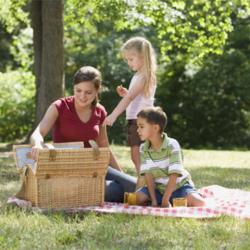 legea picnicului