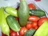 legume mucegaite