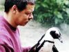 pinguin Sandy
