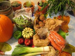 produse alimentare ecologice