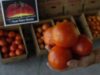 tomate dulci