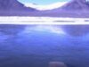 virus Antartica