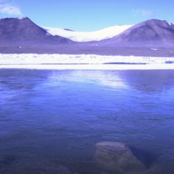 virus Antartica