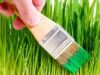 greenwashing.jpg