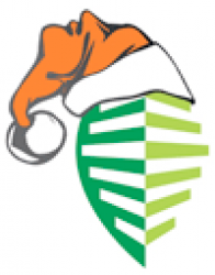 logo_craciun.png