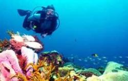 Oceanul Indian