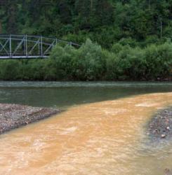 Rosia Montana 2