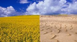 schimbari climatice