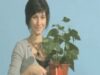 liceenii scurt metraje ecologice liceenii scurt metraje ecologice