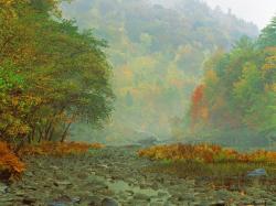 misty_morning_sunrise_tennessee_8035_800_600.jpg