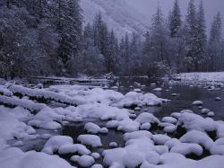 nature_067.jpg