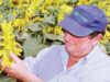 agricultorii eco