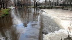 catastrofa ecologica