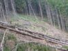 Administratia Fondului de Mediu susține inca trei proiecte importante in județul Giurgiu