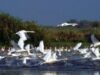 Instruire privind Protectia Internationala a Dunarii
