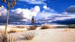 desertificare