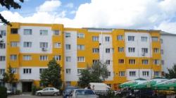 gradini amenajate
